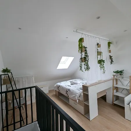 Duplex77 Near
