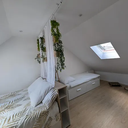 Duplex77 Near