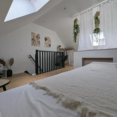 Duplex77 With Garage Near Apartment Quincy-Voisins